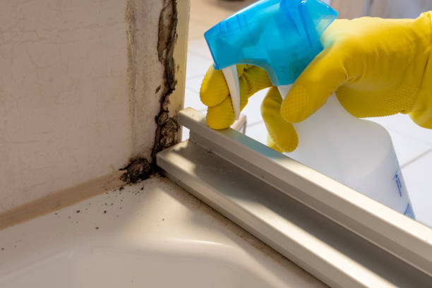 Best Office Mold Removal Services  in Hooverson Heights, WV