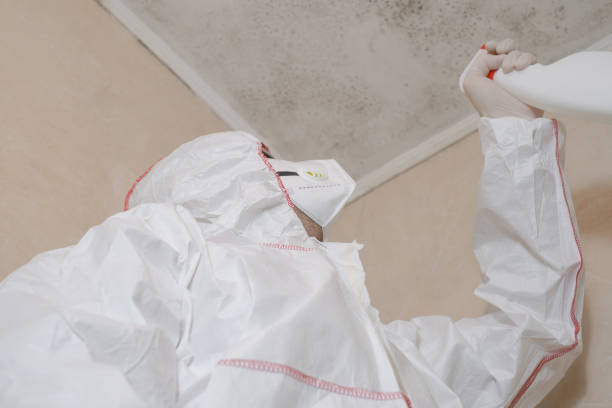 Best Emergency Mold Removal  in Hooverson Heights, WV